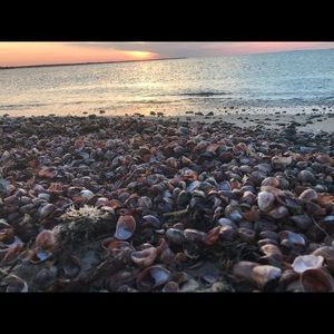 Meet your Posher, Brie